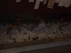 -端艾堂·SPA·艾灸(鸳鸯006店)