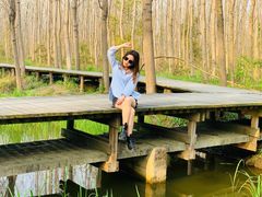 -合肥滨湖国家森林公园