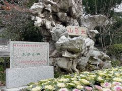 -太子山公园(园东路)