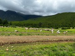 -玉湖村