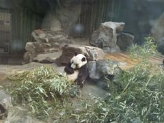 景点-北京动物园