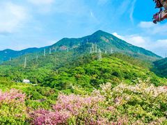 -东莞观音山旅游风景区