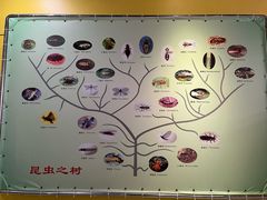 -上海昆虫博物馆