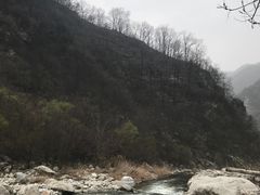 -沣峪口