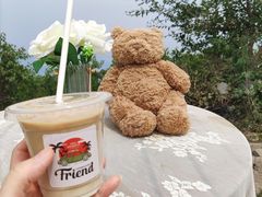 -阳台山自然风景区