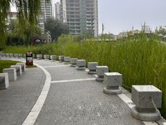 -西海子公园