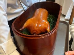 -鹿园 MOOSE(长宁店)