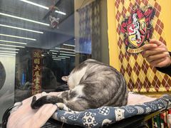 -谜盒子奇幻密室(南屏店)