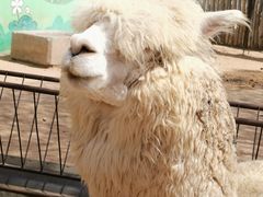 -鄂尔多斯野生动物园