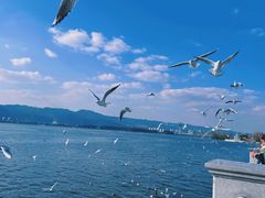-海埂大坝