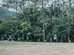 -南宁良凤江国家森林公园