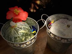 -春莱·泰式奶茶·老挝冰咖啡(湾里庙店)