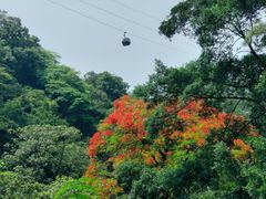 -广州市白云山风景名胜区