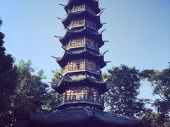 -上海佘山国家森林公园西佘山园