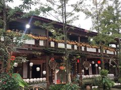 -青城甲(青城山店)