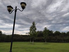 -永定河休闲森林公园