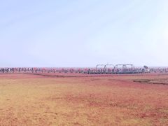 -红海滩国家风景廊道