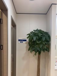 -郑荃丽格医疗美容