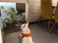 -清晖小苑·顺德菜(观澜湖新城店)