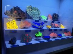 -湖南省地质博物馆