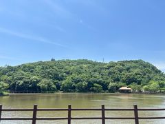 -采石矶景区