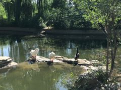 -莲花池公园