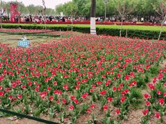 -咸阳湖景区-统一广场