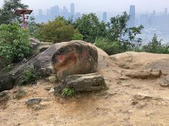 -南山植物园