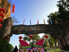 -松山湖梦幻百花洲