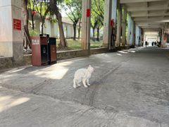 -广州市紫泥堂文化创意园景区