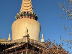 -张掖大佛寺景区