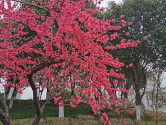 -西安汉城湖景区