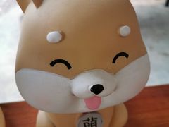 -柴犬高等学院·狗咖·柴犬售卖·宠物训练