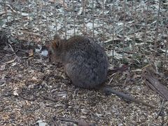 -费瑟代尔野生动物园