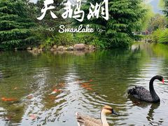 -白马涧龙池景区
