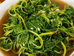 蒜泥炒苋菜-得意楼蒸菜馆