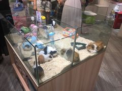 -凯德广场(西城店)