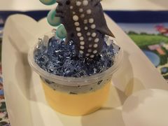 -珠海长隆海洋王国
