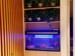 -智慧盲人按摩艾灸-颈肩腰膝疼痛调理(浦东店)