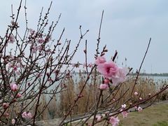 -阳澄湖半岛旅游度假区