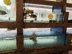 -东城食府·手工点心·37年老字号(虎门店)