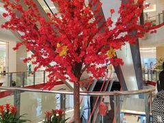-莲花国际广场