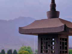 -大唐贡茶院