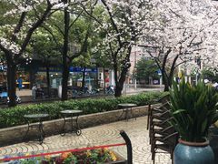 -玛格萝妮比萨屋(四平店)