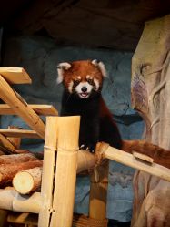 -Zoolung Zoolung动物主题公园(海信广场店)