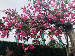 -山东大学(威海校区)