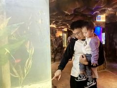 -长鹿旅游休博园