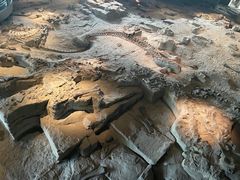 -自贡恐龙博物馆