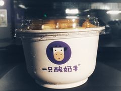 -一只酸奶牛(奎星楼店)