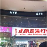 蛋挞蛋挞脑袋狂喜！